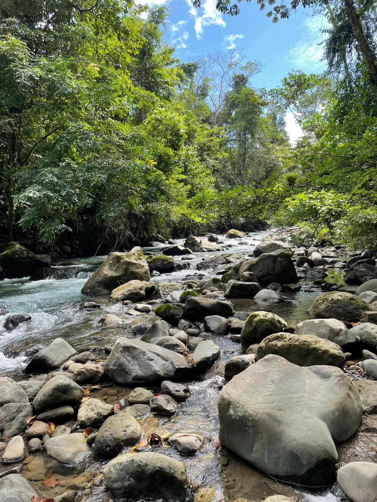 Cabinas La Catarata La Fortuna Εξωτερικό φωτογραφία
